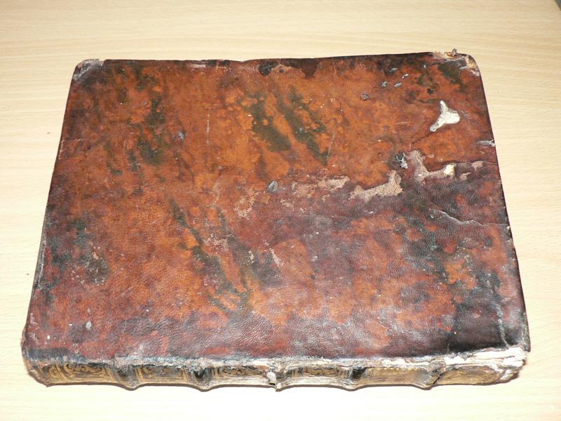 15_szolnok_damjanich
