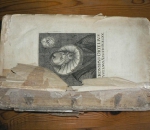 01_szolnok_damjanich