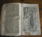 02_szolnok_damjanich