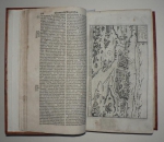 05_szolnok_damjanich