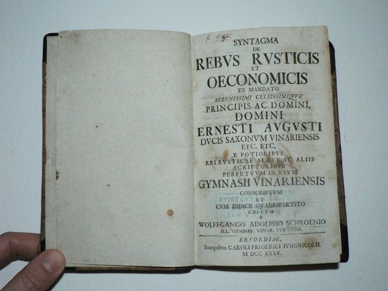 10_nyiregyhaza_kossuth_ev_gim