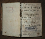 08_nyiregyhaza_kossuth_ev_gim